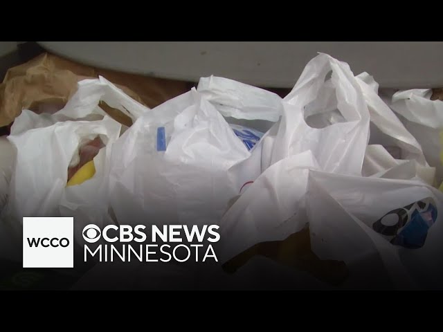 ⁣Do bag fees actually help reduce plastic waste?