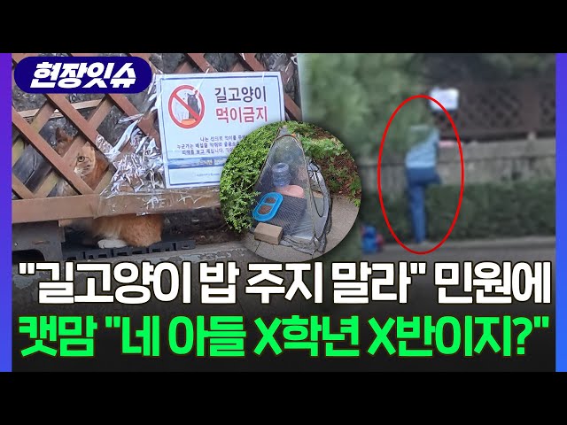 ⁣[현장잇슈] "길고양이 밥 주지 말라" 민원 넣었더니…'캣맘'의 소름 끼치는 반응 / 연합뉴스TV (YonhapnewsTV)