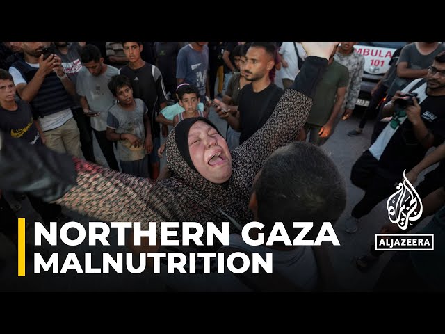 ⁣Palestinians in northern Gaza fear ‘another wave of starvation’