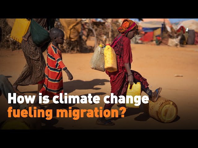 ⁣How is climate change fueling migration?