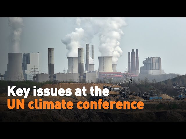⁣Key issues at UN climate conference