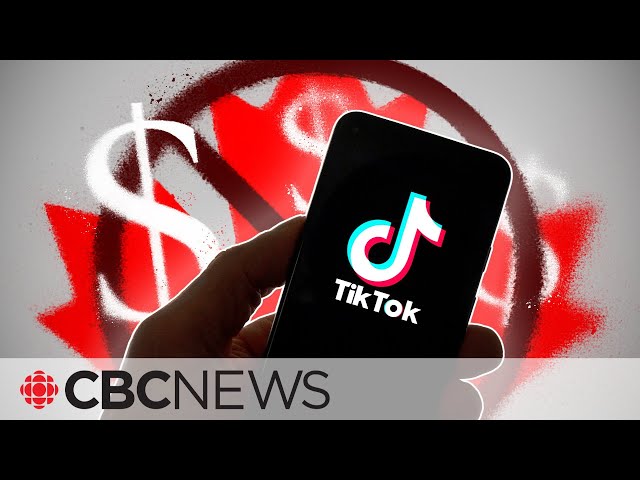 ⁣TikTok’s rewards program is paying creators — but not in Canada