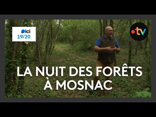 ⁣La nuit des forêts à Mosnac en Charente-Maritime