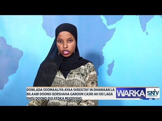 WARKA HABEEN EE SNTV 14.06.2024