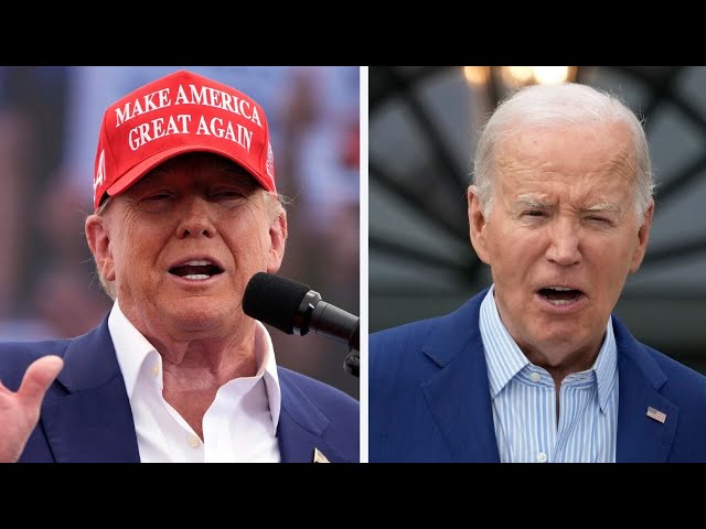 ⁣Trump vs Biden: ‘Too early’ to look at polls says democratic strategist