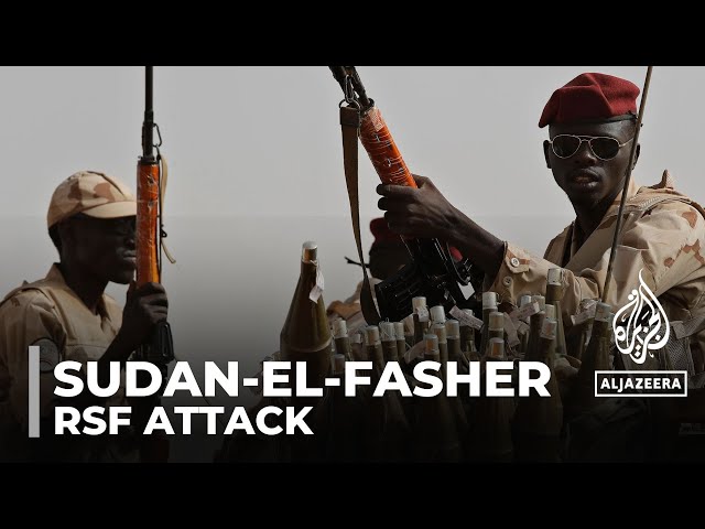 ⁣Sudan’s army repels major assault on el-Fasher; kills RSF commander