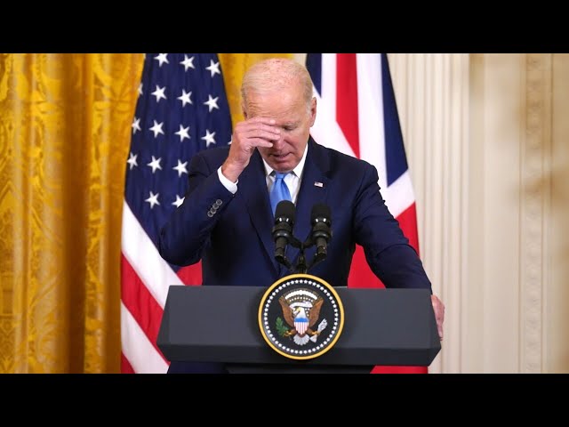 ⁣Biden’s ‘tremendous energy’ and ‘enthusiasm’ praised by democratic strategist