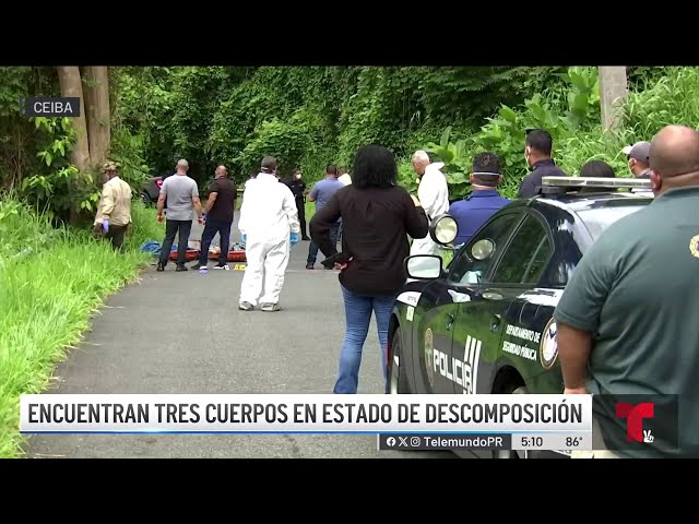 ⁣Macabra escena: hallan tres cuerpos en zona boscosa de Ceiba