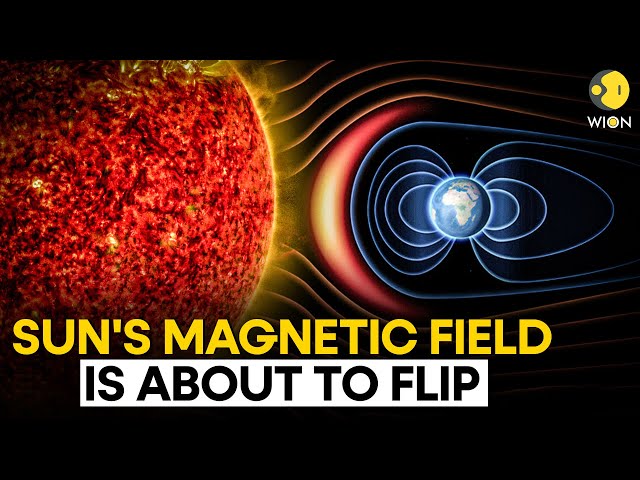 ⁣Sun's magnetic field is on the verge of flipping;  What does it mean? | WION Originals