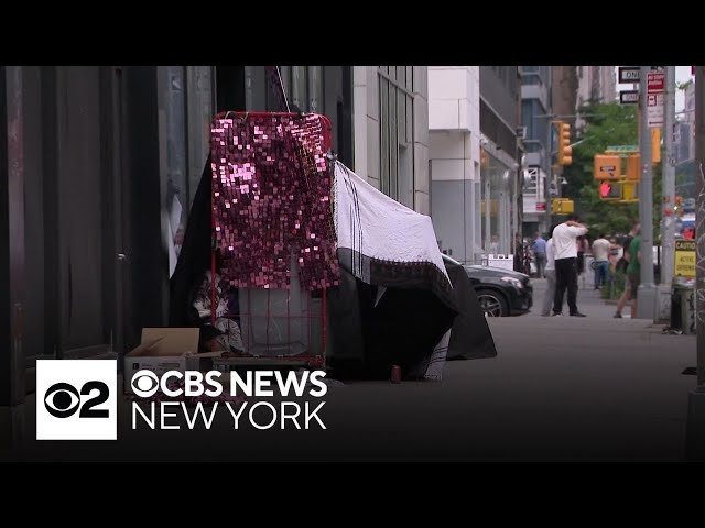 ⁣Survey shows rise in number of people living on New York City streets