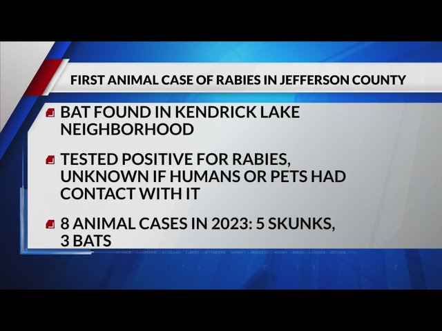 ⁣Rabid bat found in Lakewood