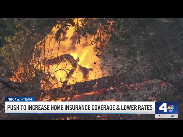 ⁣Lost home insurance because of fire risk? Here's what to know