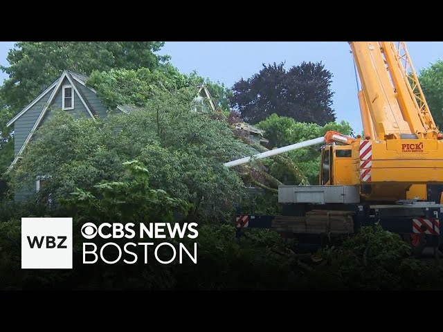 ⁣Massachusetts homeowners clean up after fast-moving storm brings down trees