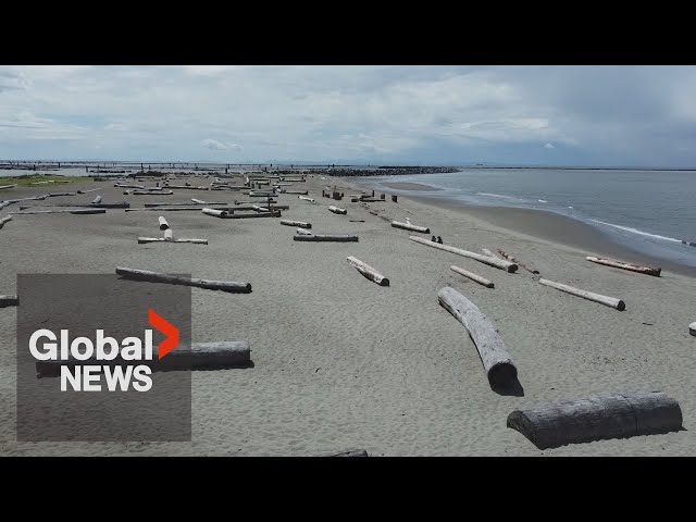⁣Vancouver nudists cry foul as region removes logs from famous Wreck Beach