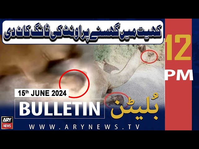 ⁣ARY News 12 PM News Bulletin | 15th June 2024 | Khait me ghusne per ont ki tang kat di