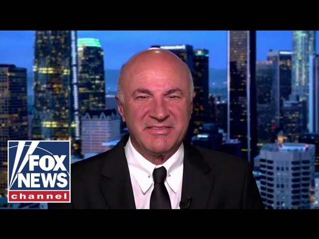 ⁣Trump is his own network: Kevin O’Leary