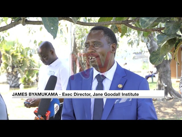 ⁣Government looks set to expand Ngamba island facilities