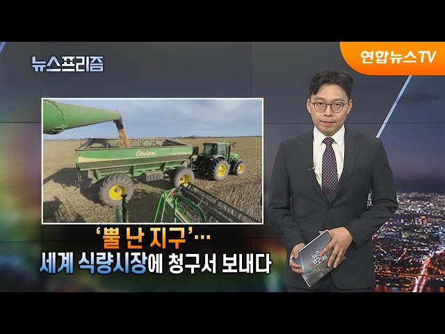 ⁣[탐사보도 뉴스프리즘] '뿔 난 지구'…세계 식량시장에 청구서 보내다 / 연합뉴스TV (YonhapnewsTV)