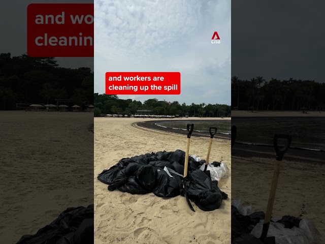 ⁣Oil spill from ship washes up on shorelines of Sentosa, Labrador Park, East Coast Park