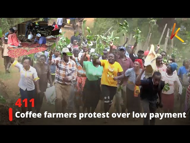 ⁣Coffee farmers protest over low payment