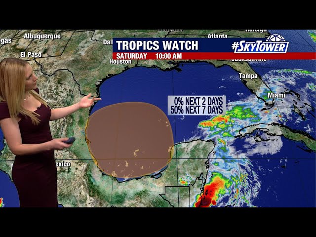 ⁣Tropical disturbance in Gulf could form next week