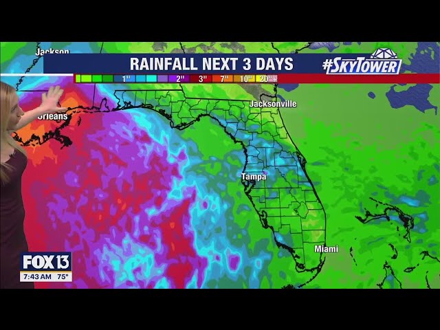 ⁣Tampa weather: Some afternoon showers on Saturday