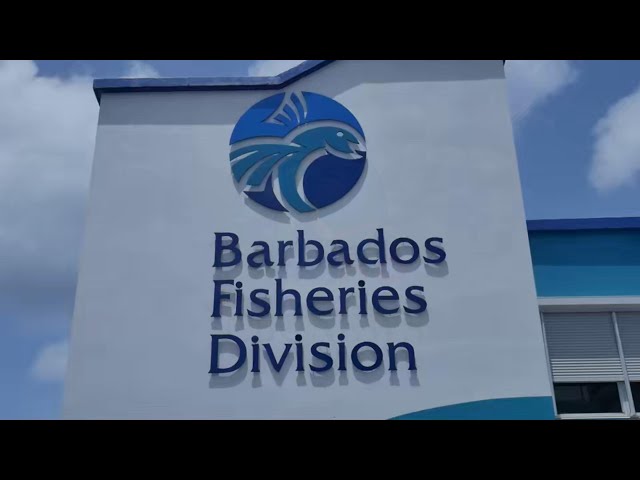 ⁣New initiative to benefit fishing industry