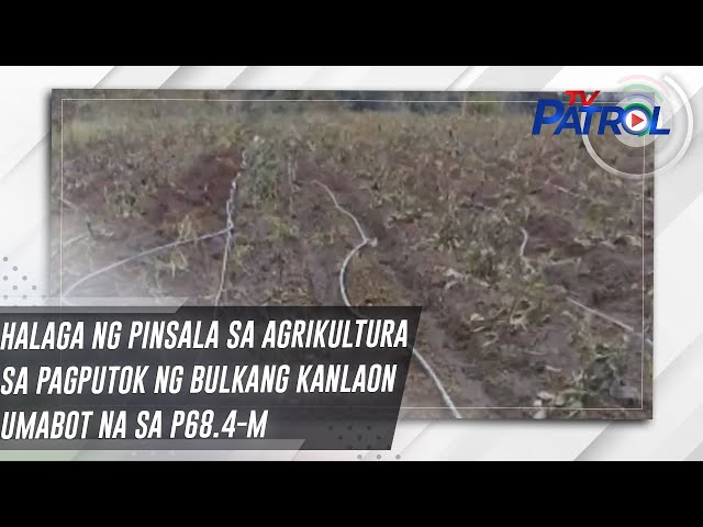 ⁣Halaga ng pinsala sa agrikultura sa pagputok ng Bulkang Kanlaon umabot na sa P68.4-M | TV Patrol