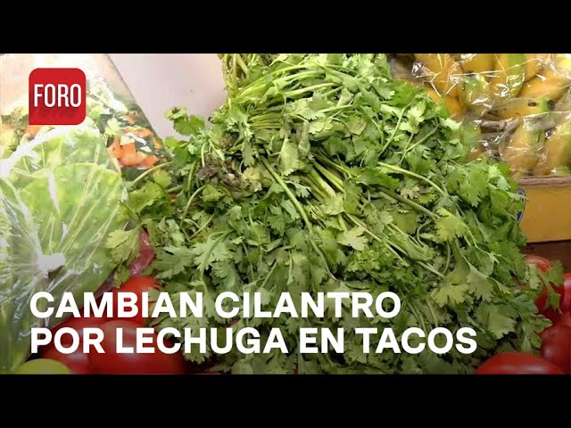Taqueros sustituyen cilantro por lechuga en Feria del Taco en Tlalpan, CDMX - Sábados de Foro