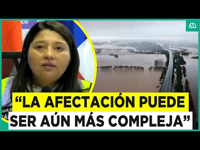 ⁣Preocupación en la “zona 0”: Nuevas lluvias mantienen en vilo a Arauco