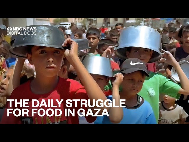 ⁣The daily struggle for food in Gaza: Battling hunger in a war zone