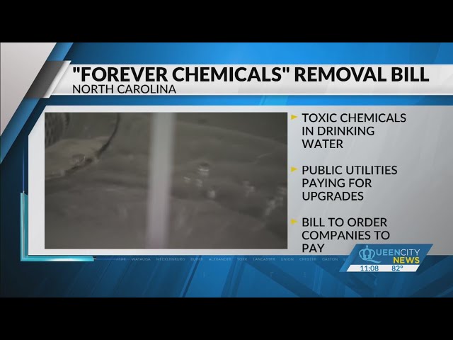 ⁣New bill will hold companies accountable for making "forever chemicals"