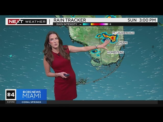 ⁣South Florida 11 p.m. Weather Forecast 6/15/2024