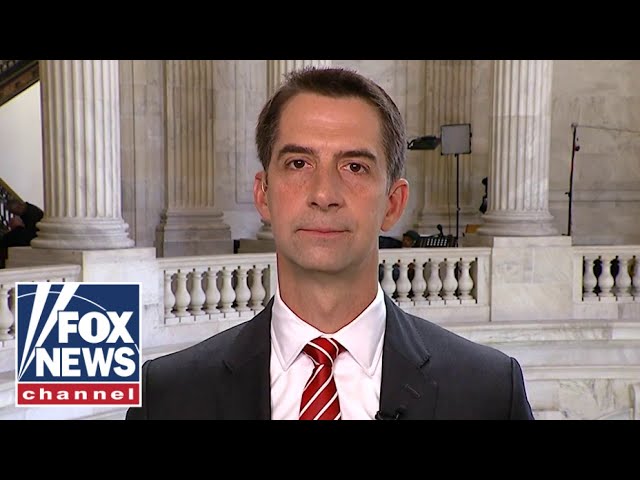 ⁣Tom Cotton on arrest of terrorist-tied migrants in US: 'Just the tip of the iceberg'