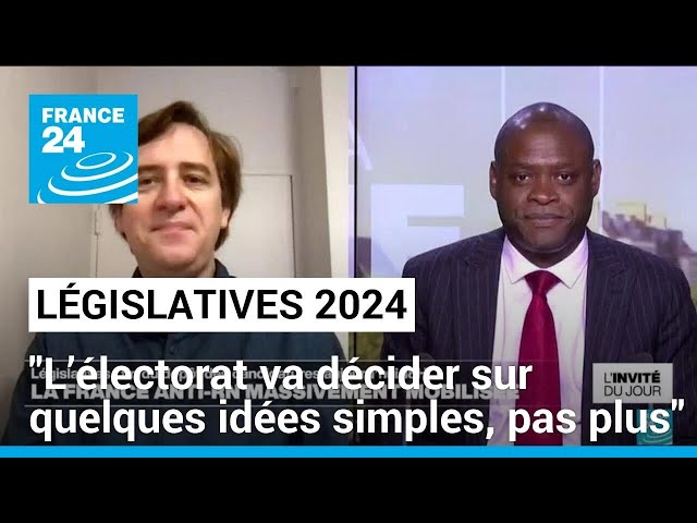 ⁣Législatives : "L’électorat va décider sur quelques idées simples, pas plus" • FRANCE 24