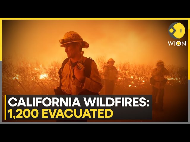 ⁣California wildfires: 1200 evacuated from LA county as 'Post Fire' burned down 4400 acres 