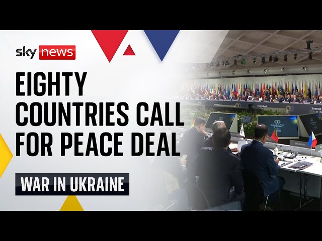 ⁣Significant support for Ukraine at peace summit - but key nations decline to attend