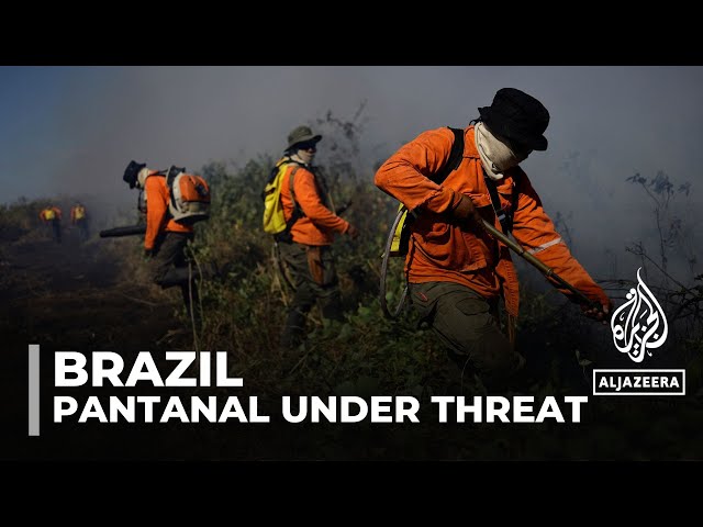 ⁣Brazil wildfires: Fires burn in the world's largest tropical wetland