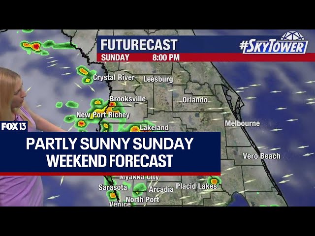 ⁣Tampa weather: Partly sunny Sunday across Bay Area