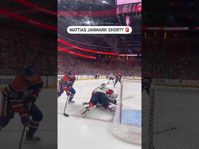 ⁣This Camera Angle Of Janmark’s Shorty 