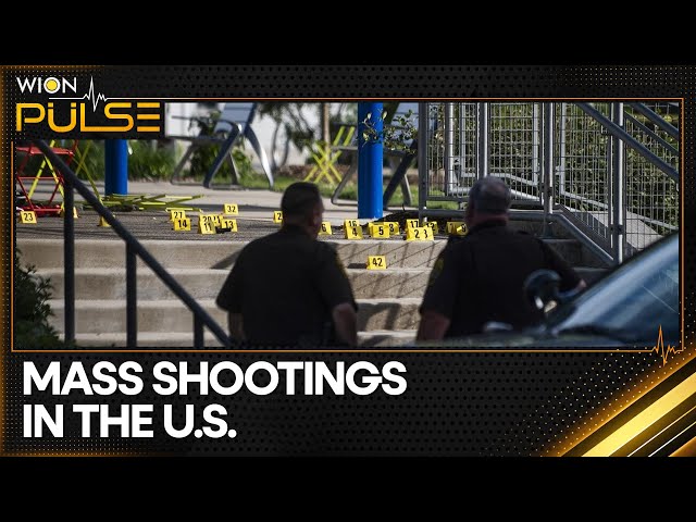 ⁣Gun laws in the US: A divisive campaign issue | Latest News | WION Pulse