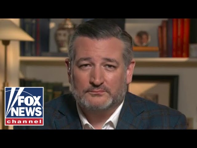 ⁣Ted Cruz: Republicans have turned this stereotype 'on its head'