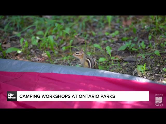 ⁣Camping workshops being held at Ontario Parks properties