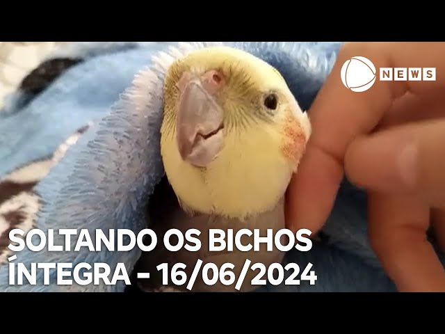 Soltando os Bichos - 16/06/2024