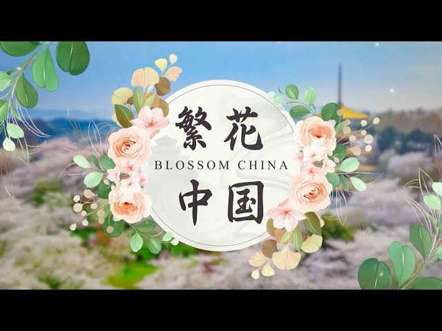 ⁣Blossom China: See China in full bloom