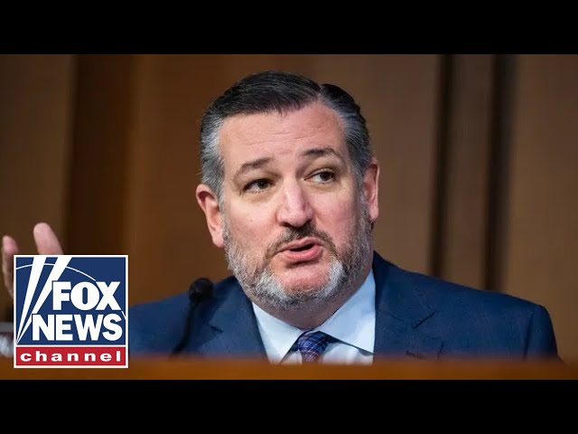 ⁣Ted Cruz says Trump's promise on this could bring him a WIN