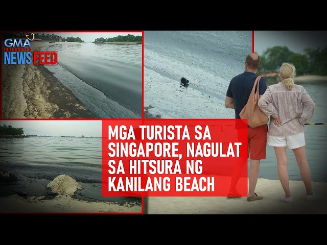⁣Kadiri! Mga turista sa Singapore, nagulat sa hitsura ng kanilang beach | GMA Integrated Newsfeed