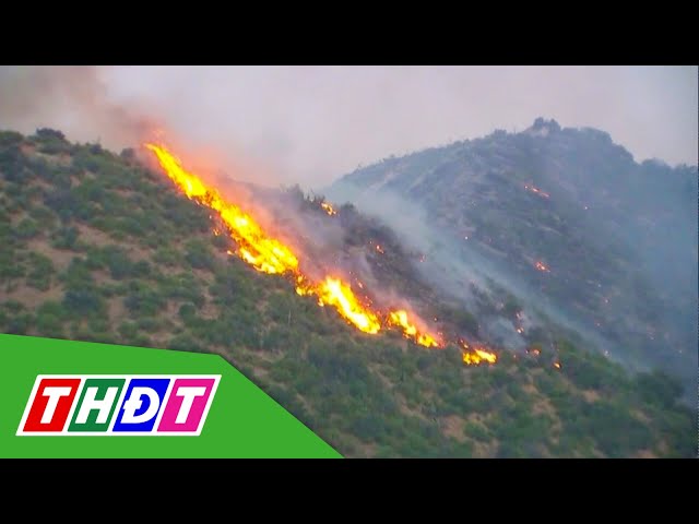 ⁣Mỹ: Cháy rừng lan rộng khiến trên 1.000 người phải sơ tán | THDT