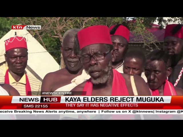 ⁣Kaya elders support ban on muguka