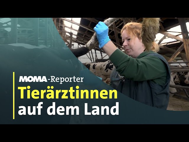 ⁣Tierärztinnen fehlen auf dem Land | ARD Morgenmagazin